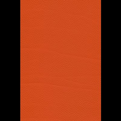 Sessel Interliving 4530